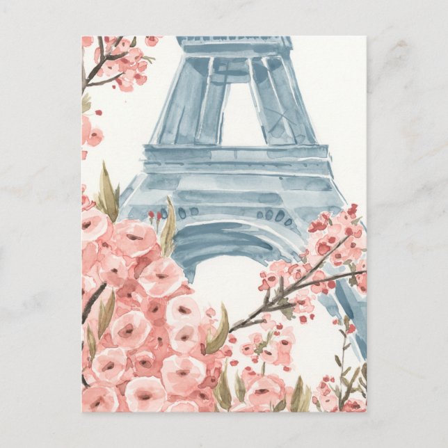 Paris Cherry Blossoms Postcard (Front)