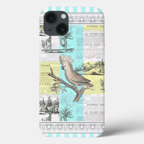 Paris Cockatoos Colonial Dream iPhone 13 Case