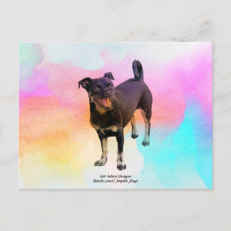 Paris Disco Postcard