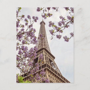 Paris Eiffel Tower in Springtime Photo Postcard