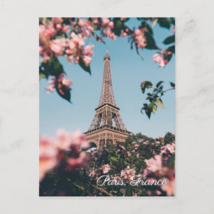 Paris France Eiffel Tower flowers travel postcard