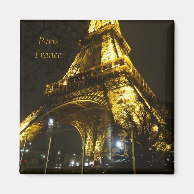 Paris France Eiffel Tower. Magnet (Front)