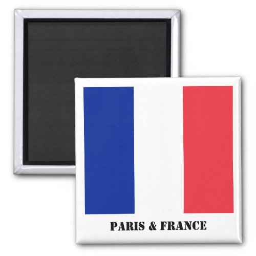 Paris  France French Flag Magnet