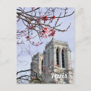 Paris France travel photo Postcard