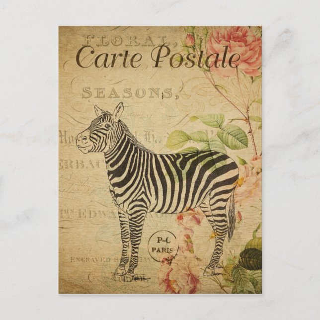 Paris France Vintage Zebra Travel Postcard (Front)