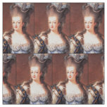 Paris French Marie Antoinette Fabric