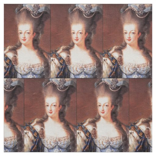 Paris French Marie Antoinette Fabric