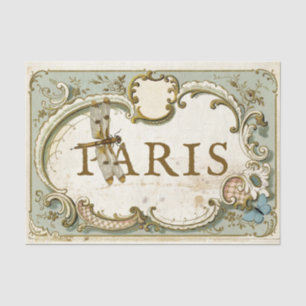 Paris French Vintage Frame Dragonfly Butterfly Tissue Paper