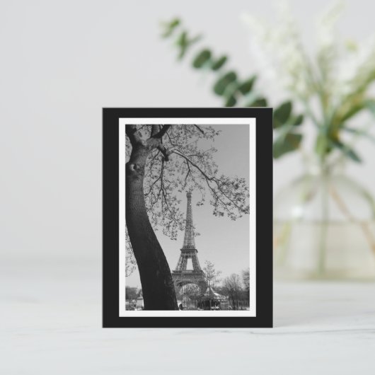 paris in b&w (Standing Front)