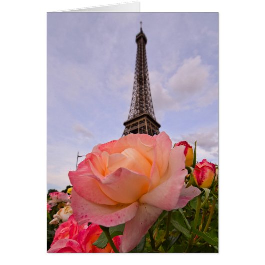 Paris in Spring is Always a Good Idea Cards (Front)