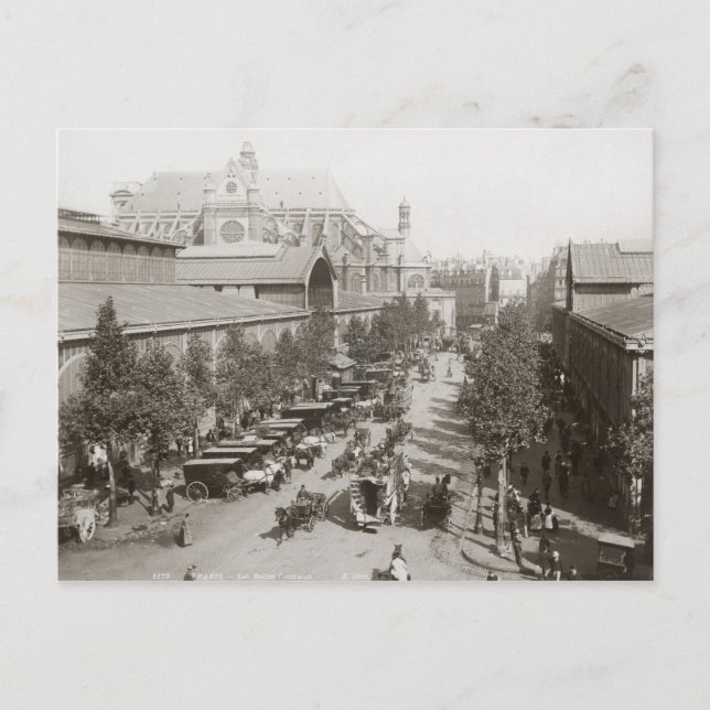 Paris: Les Halles, C1900 Postcard (Front)