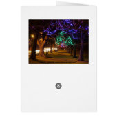 Paris Lighted Trees Cards (Back)