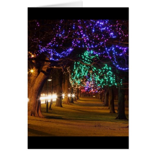 Paris Lighted Trees Cards (Front)