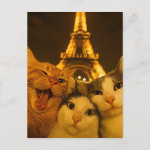 Paris Night Cat Selfie Squad Lover                 Postcard