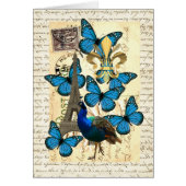 Paris, peacock and butterflies (Front)