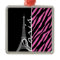 Paris; Pink & Black Zebra Print