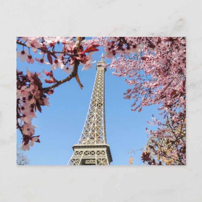 Paris Postcard (Front)