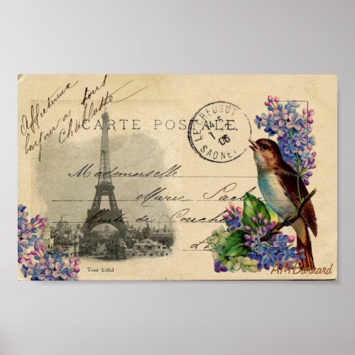 Paris Postcard Bird on Lilacs Poster or Print