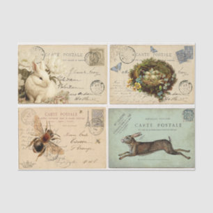 Paris Postcards  Tissue Paper