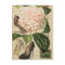 paris shoes floral french botanical art