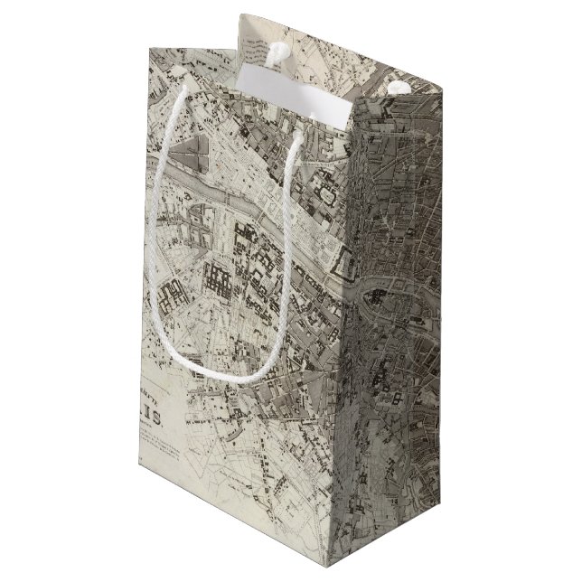 Paris Small Gift Bag (Back Angled)