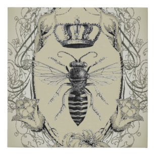 queen bee scientific illustration