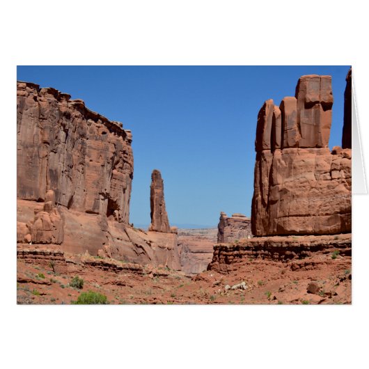 Park Avenue, Arches National Park Cards (Front Horizontal)