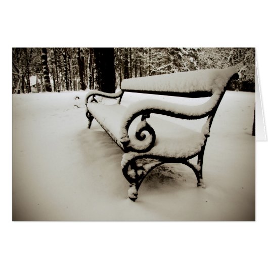 Park bench (Front Horizontal)