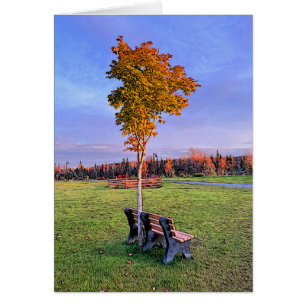Park Bench - 5" x 7" Art Card