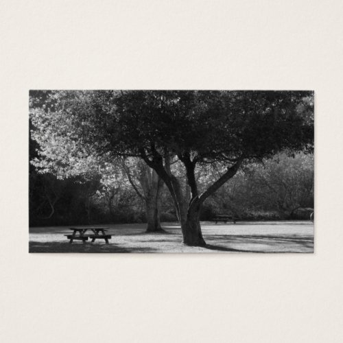 Park Bench and Tree Photo Business Card