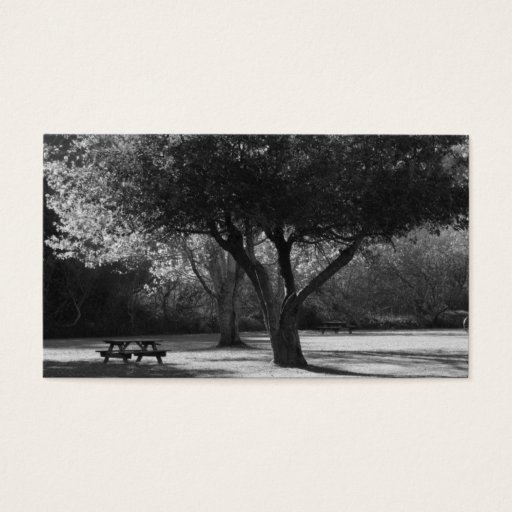 Customizable Park Bench and Tree Photo Business Card