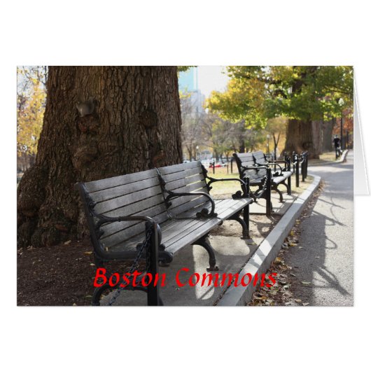 Park Bench, Boston Commons, Massachusetts Cards (Front Horizontal)