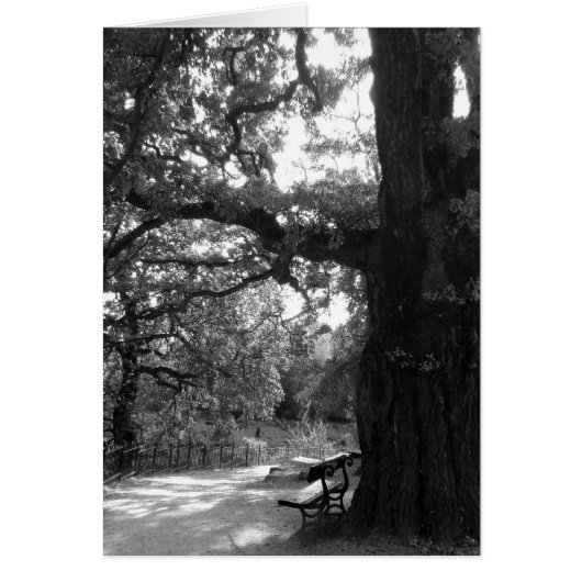 Park Bench Cards (Front)