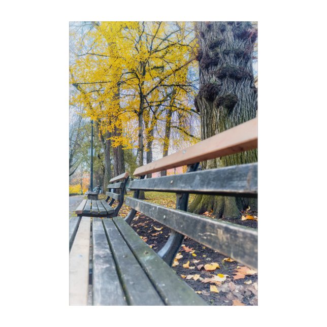 Park Bench in Autumn Scenery Acrylic Print (Front)