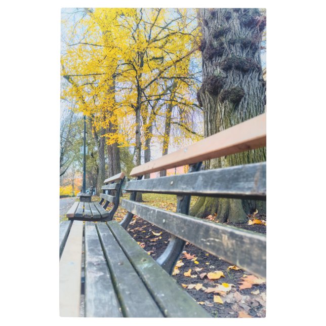 Park Bench in Autumn Scenery Metal Print (Front)