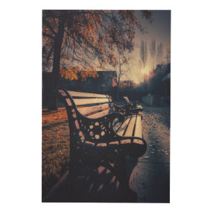Park Bench in Autumn with Sunlight  Wood Wall Art