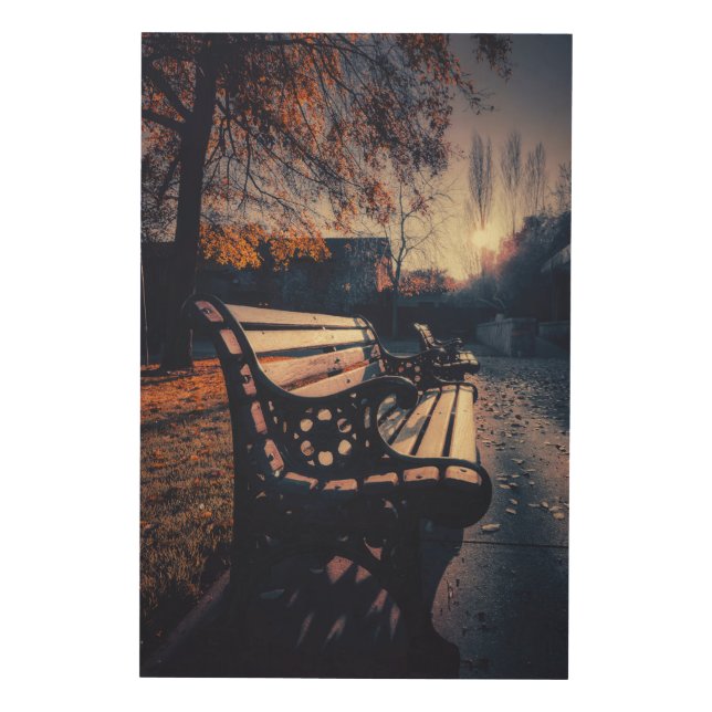 Park Bench in Autumn with Sunlight  Wood Wall Art (Front)