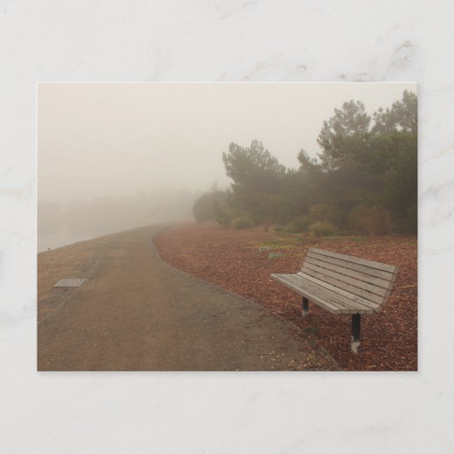 Park Bench in the Fog Postcard (Front)