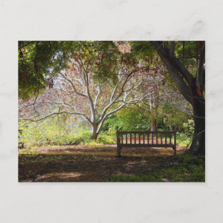 Park Bench Postcard