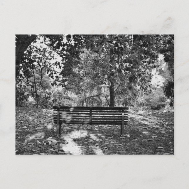 Park bench postcard (Front)