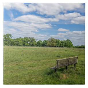 Park bench view ceramic tile