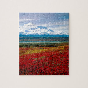 Park Brilliant Colors Of Denali Alaska Jigsaw Puzzle