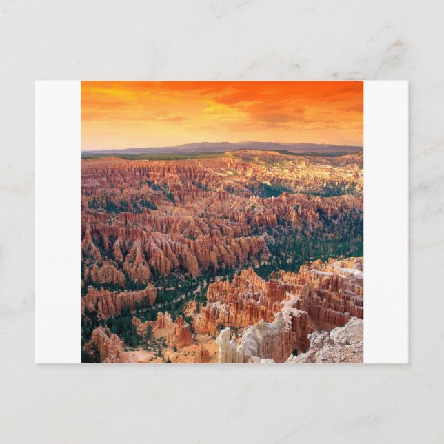 Park Bryce Canyon Utah Postcard (Front)