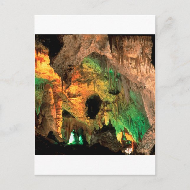 Park Carlsbad Caverns New Mexico Postcard (Front)