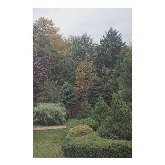 Park Faux Wrapped Canvas Print (Front)