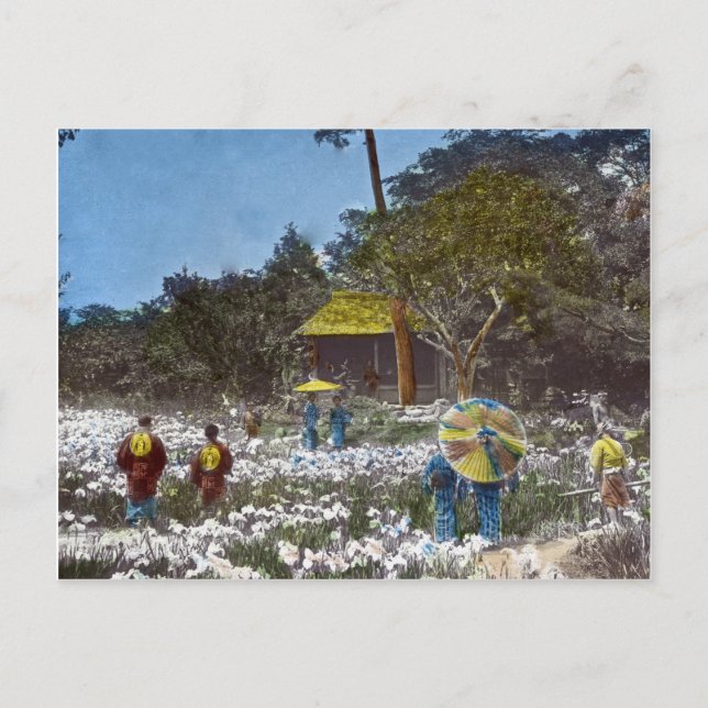 Park in Tokyo Japan Vintage Hand Tinted Postcard (Front)