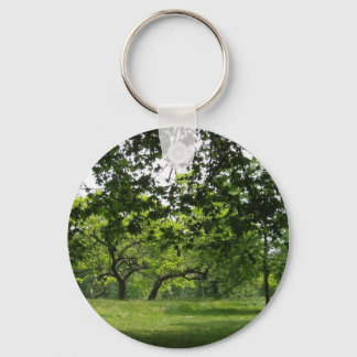 Park Keychain