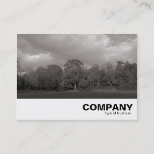 Park Landscape Business Card