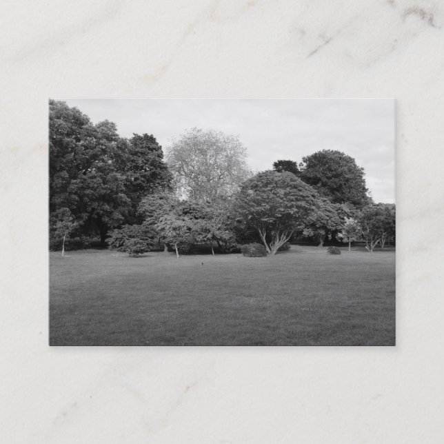 Park Landscape Business Card (Front)
