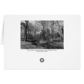 Park Landscape - Bute Park, Cardiff (Back Horizontal)